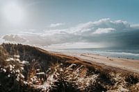 Pays-Bas | Castricum au bord de la mer | dunes, plage & mer