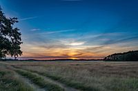 Paysage de Drenthe avec soleil couchant
