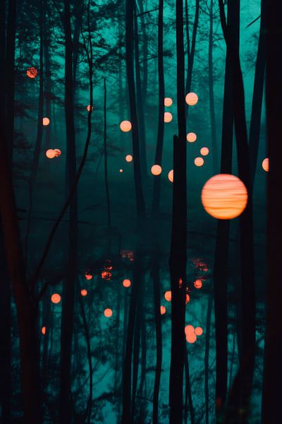 Fairytale forest night by Poster Art Shop