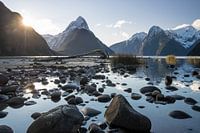 Milford sound