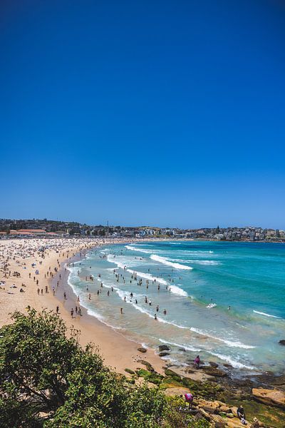 Bondi Beach: Sydney's Iconic Beach by Ken Tempelers