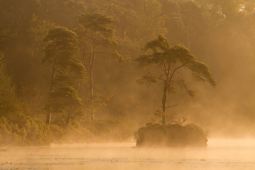 Mist during sunrise on the lake among the woods by Paul Wendels