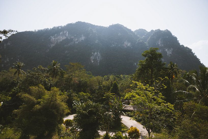 Exploring High Cliffs and Rivers in Khao Sok, Thailand by Ken Tempelers