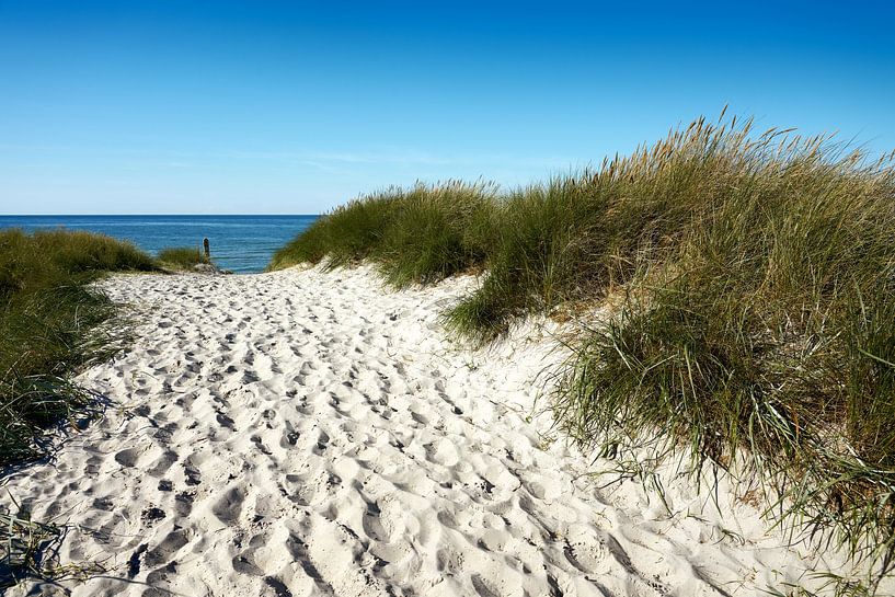 Strandübergang am Weststrand auf dem Darss von Reiner Würz / RWFotoArt