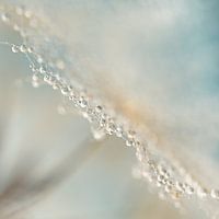 Ein pastellfarbenes Quadrat der 