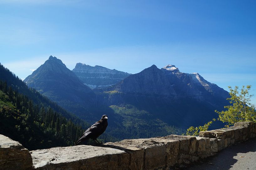 Bird with a view by Anouk Noordhuizen