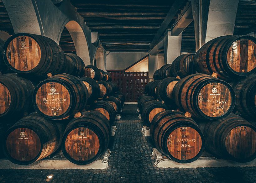 Port wine cellar by The Utregter Photoraphy