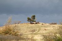 L'automne dans les montagnes du Harz