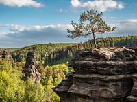 Bielatal in Saxon Switzerland - View towards Schiefer Turm