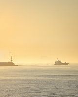 Goldener Morgen (stehend)