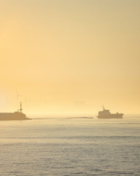 Goldener Morgen (stehend) von PJM Captures