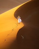 The splendor of the sand deserts in Sossusvlei, Namibia
