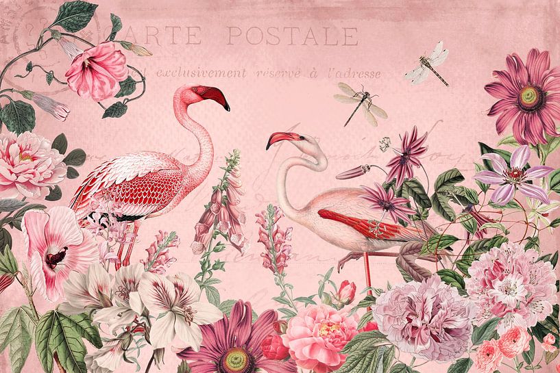 Tropical Flamingo Garden von Andrea Haase