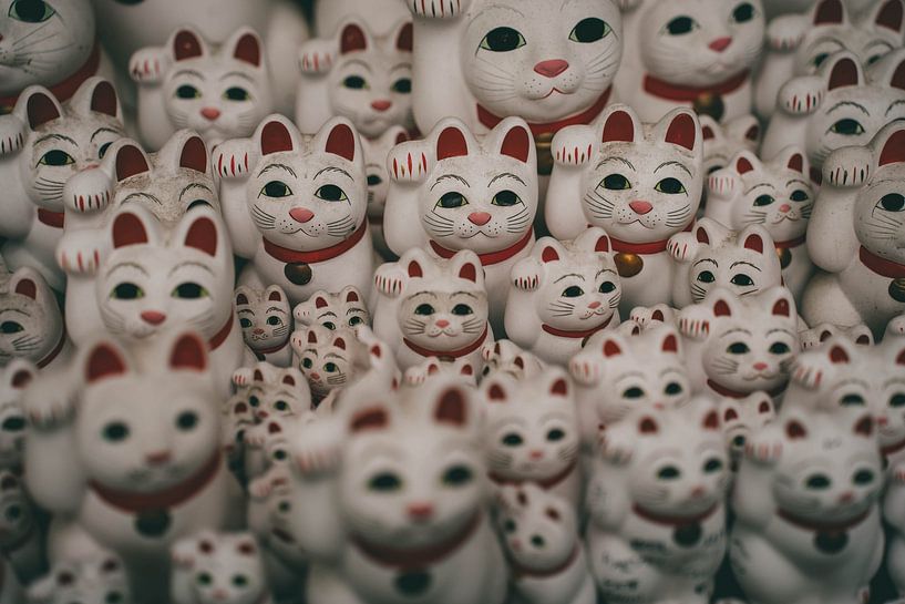 Lucky cats in Tokyo, Japan by Nikkie den Dekker | travel & lifestyle photography
