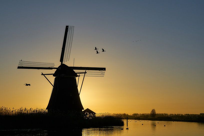Early birds at Kinderdijk sunrise by Ad Jekel