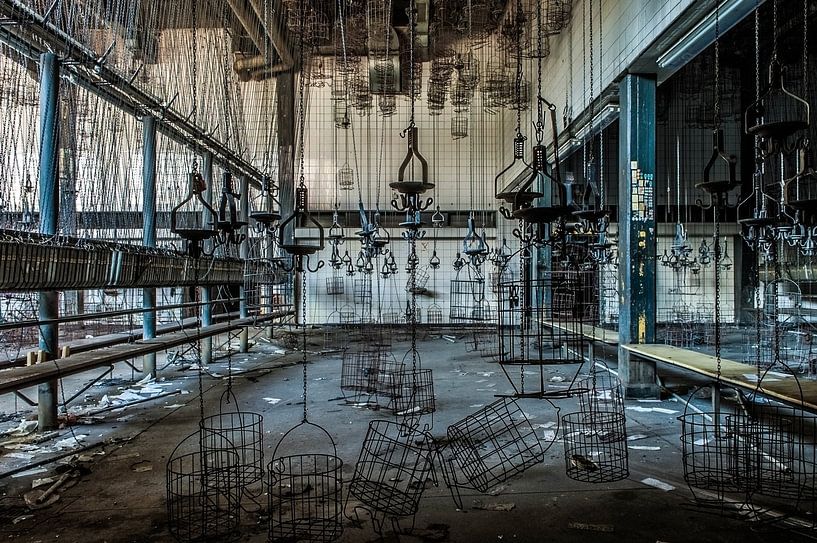 Zeche P von Anjolie Deguelle