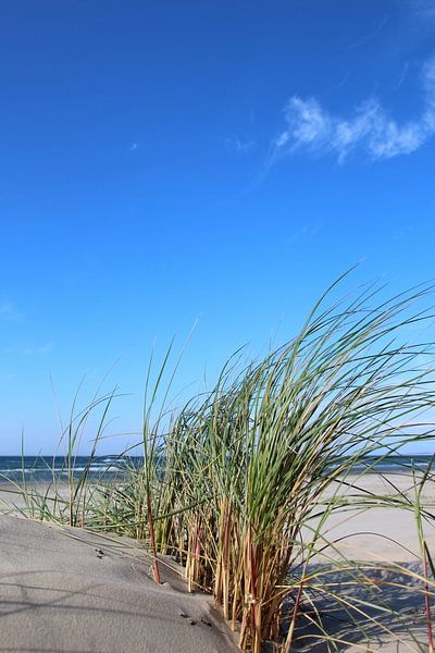 Duin van Ostsee Bilder