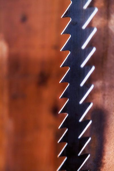 Zaagwerk by Jan van der Knaap