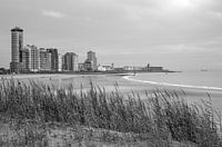 Boulevard de Vlissngen