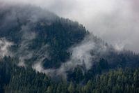 Foggy Magic: Mountain scenery in Austria