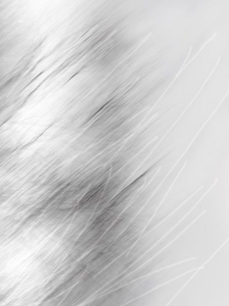 Kratzer | abstraktes digitales Kunstwerk von Henriëtte Mosselman