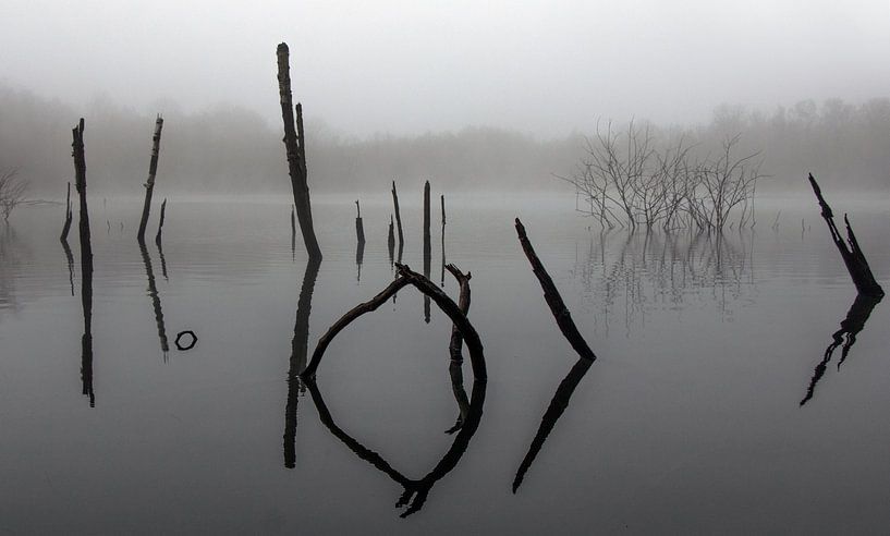 Geheimschrift by Pieter Navis