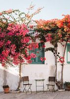 Griechische Blumen | Mittelmeer-Fotodruck | Bunte Wandkunst