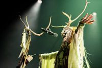 Maria Franz Heilung Poster