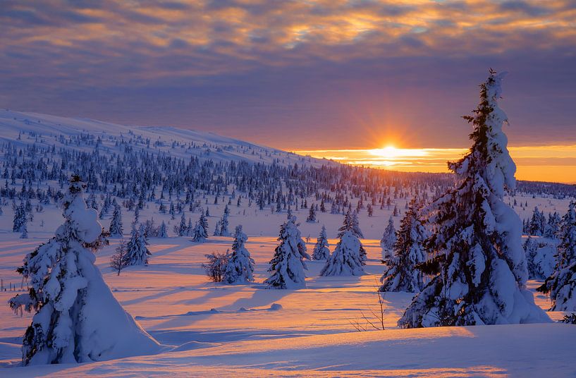 Coucher de soleil d'hiver en Norvège par Adelheid Smitt
