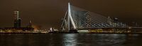 Erasmusbridge Rotterdam Panorama