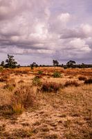 Heath View Cloudy Sky 10 - Loonse en Drunense Duinen