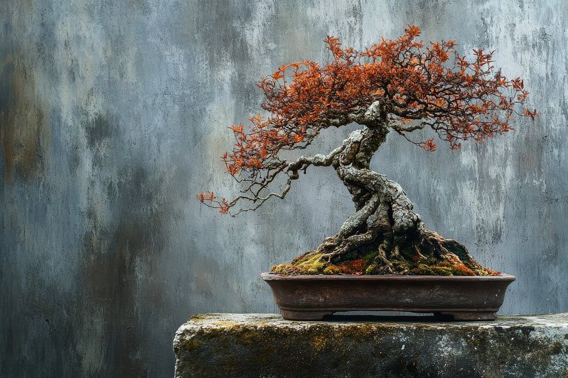 Een eeuwenoude esdoorn bonsai straalt wijsheid en kracht uit van Digitale Schilderijen