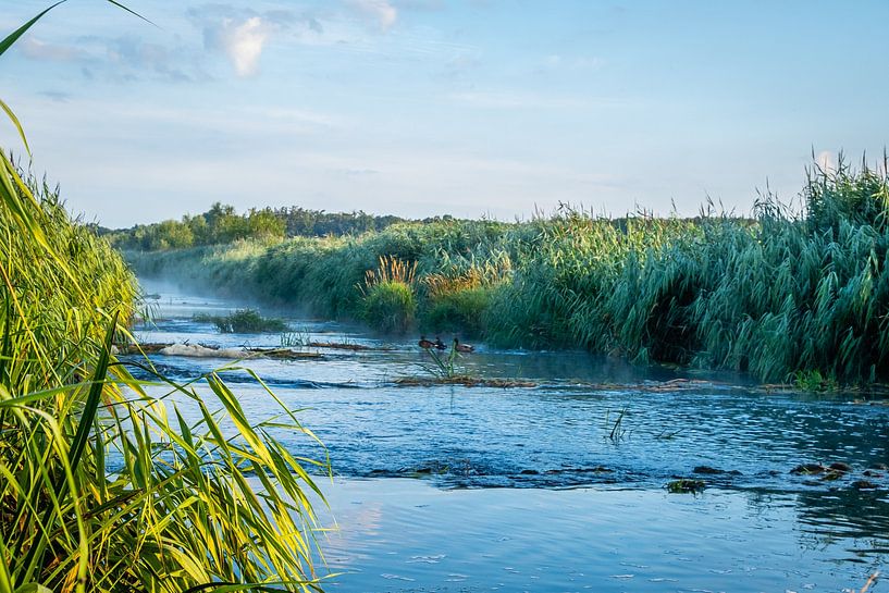 Die Fischtreppe von BeeldWoord