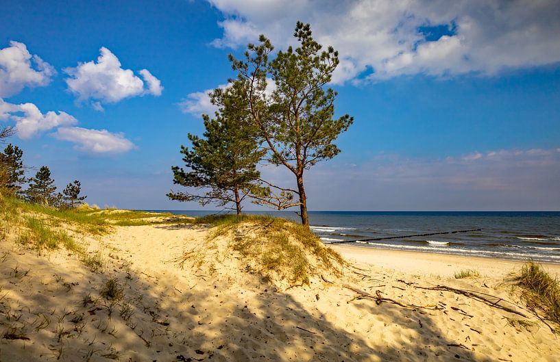 Vue sur le lac_2 par Holger Felix