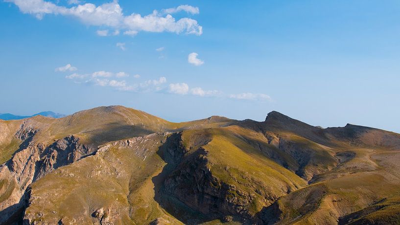 Forms by Harry Cathunter