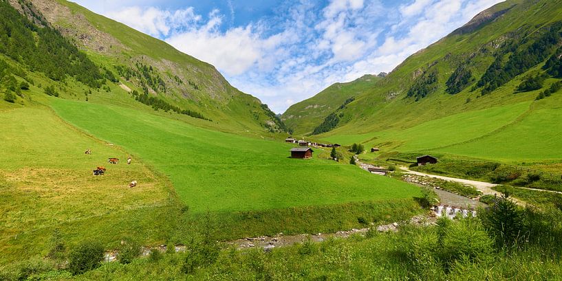Malga Fane - die Fanealm in Südtirol von Reiner Würz / RWFotoArt