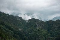 Sérénité dans le fjord de Moustramen à Bergen, Norvège | Forêt | Atmosphère mystique | Photographie de voyage