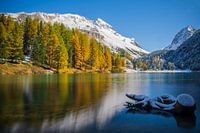 Montagnes enneigées