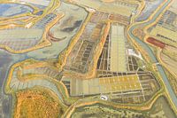 Zoutpannen in Frankrijk