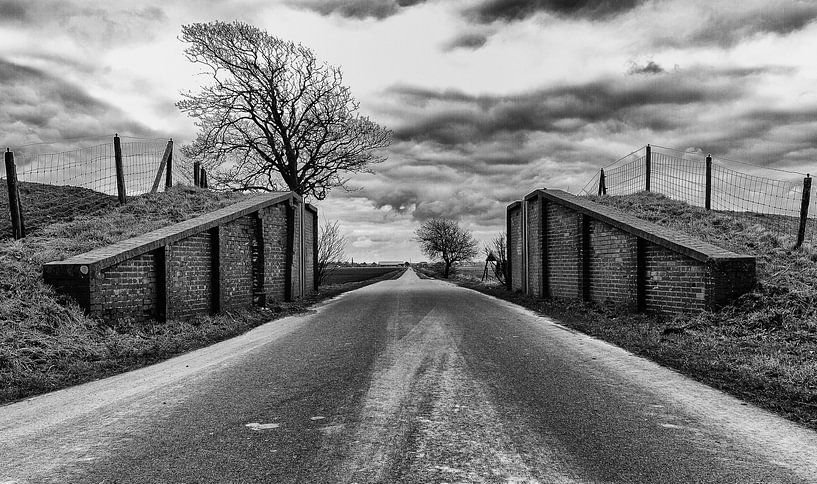 Dry feet by István Lahpor