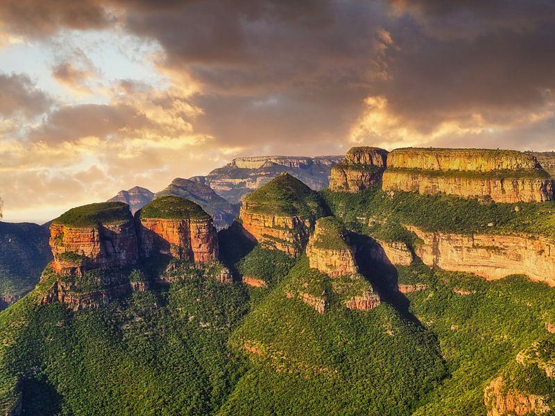 The three Rondals in South Africa by HGU Foto