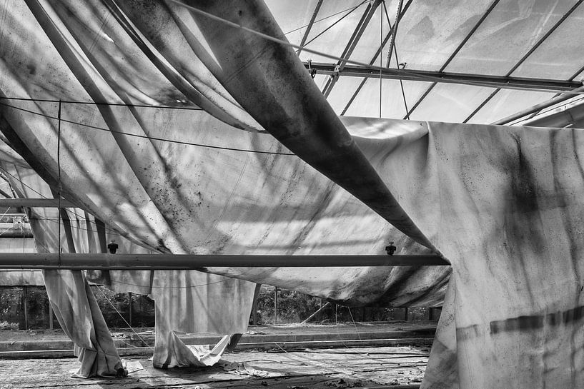 Shadow cloth in horticulture box by Eugene Winthagen