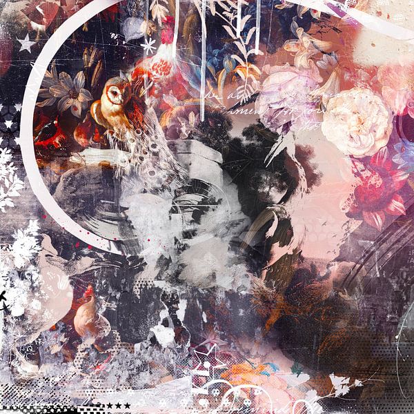 Arise by Teis Albers