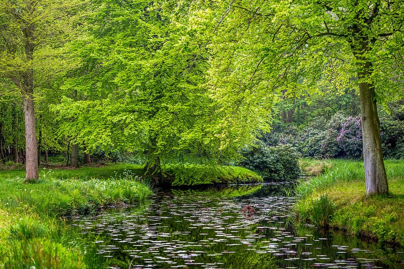 Westhove par Daniël Steenbergen