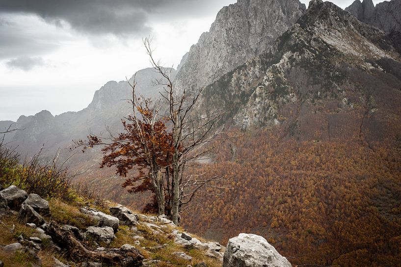 Autumn in the mountains of Albania by Ellis Peeters