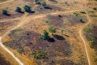 Die Hoorneboeg-Heide aus der Luft [04]