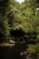 Een oase van rust in de jungle van Bali