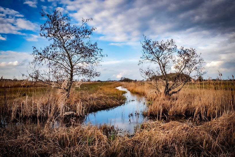 Die Weerribben (Wanneperveen) von Pierre Verhoeven