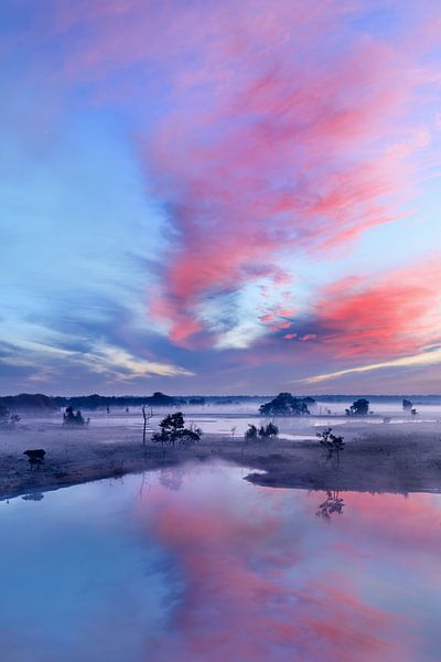ciel rouge et bleu au lever du soleil sur un wetland_3 brumeux par Tony Vingerhoets