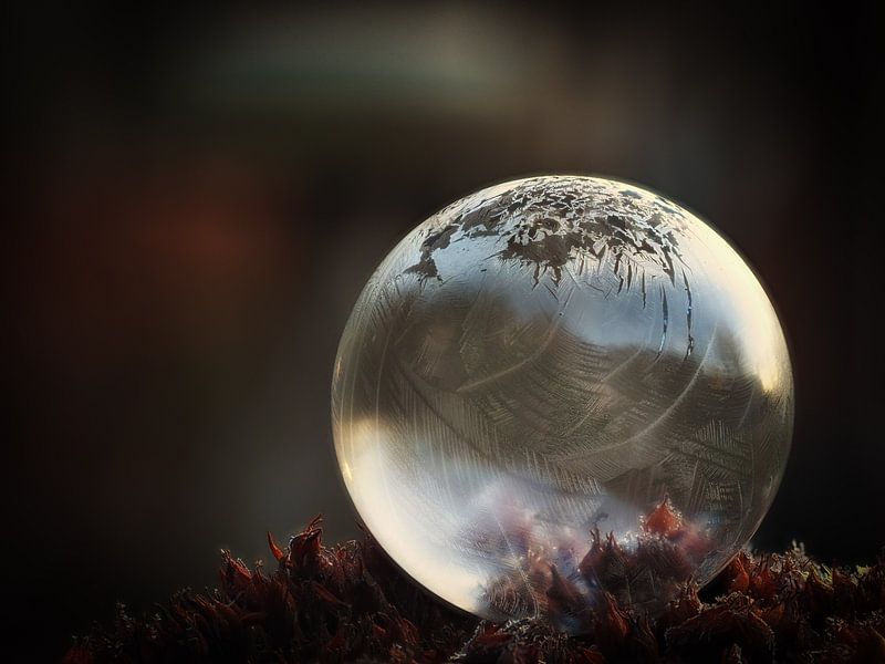 Bevroren zeepbel #2 van Lex Schulte